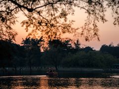 -上海共青森林公园