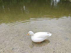 -美兰湖景区