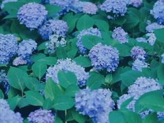 -杭州六谷生态休闲农庄有限公司