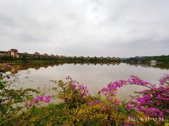 -美的鹭湖森林度假区