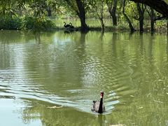 -长兴太湖图影湿地文化园