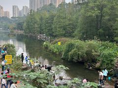 -重庆彩云湖湿地公园
