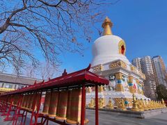 -护国法轮寺