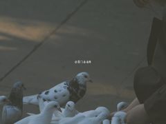 -音乐台