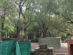 -黄兴公园