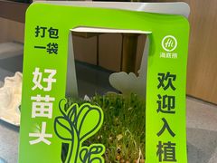 -海底捞火锅(高科东路店)