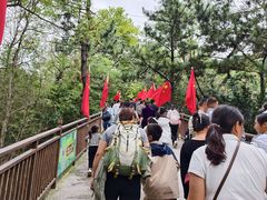 -西霞口神雕山野生动物世界