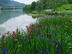 -西安汉城湖景区