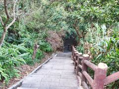 -羚羊峡古栈道森林公园