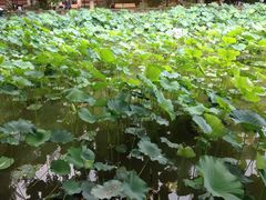 iphone_upload_pic-四川大学(华西校区)