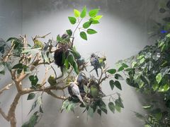 -常州海昌海洋探索馆