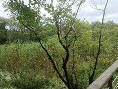 -西湖风景区-江洋畈生态公园