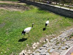 -哈尔滨北方森林动物园