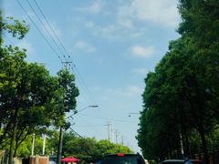 -吴淞炮台湾湿地森林公园烧烤区