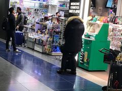 -中部国际机场