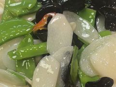 -同乐馆(阳光店)