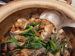 生焗钳鱼煲-大唐靓汤江门私房菜(景田店)