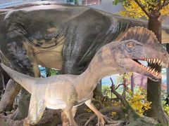 -湖南省地质博物馆