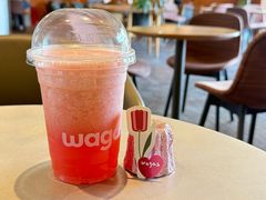 -Wagas沃歌斯(汇智店)