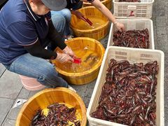 -可可大虾武汉土菜大排档(万松园1店)