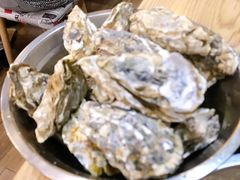 -爱蚝屋