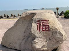 -上海滨江森林公园
