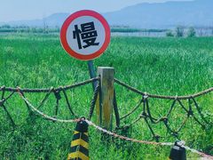 -野鸭湖国家湿地公园