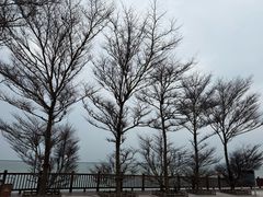 -东山风动石景区