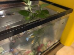 -竹雀古法采耳(青岛麦凯乐店)