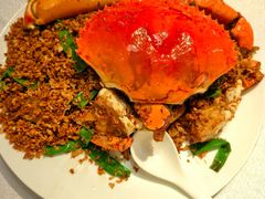 -喜记避风塘炒辣蟹(旗舰店)