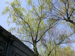 -中央戏剧学院(东城校区)