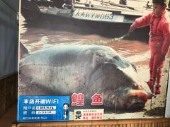 -大鹅岛灶台鱼·铁锅炖(水库路店)