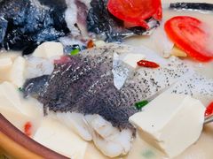 -全乐鱼馆·淳牌有机鱼直营店