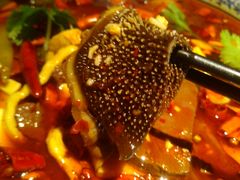 -新悦·霞浦海鲜生(上下杭店)
