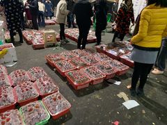 -菜园坝水果市场
