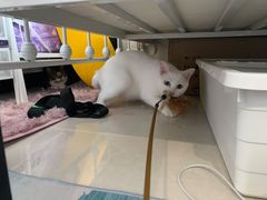 -沐沐家宠物(成寿寺店)