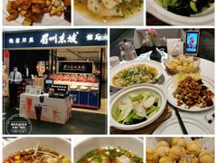 -眉州东坡(远洋未来广场店)