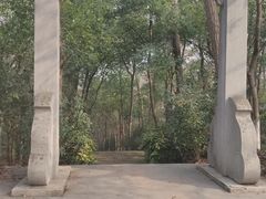 -紫金山山顶公园