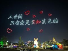 -荷兰花海