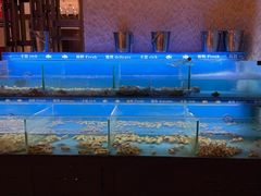 -太湖饭店玉兰厅(自助餐厅)