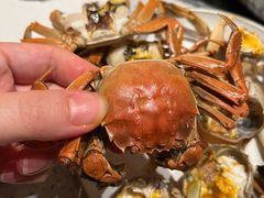 -钱小奴创意自助餐厅·原切谷饲安格斯畅吃(苏州昆山招商花园城店)