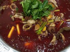 -刘胖娃鱼庄·特色鱼火锅(白鹤路店)