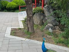 -有喜胶东小馆(太申祥和店)
