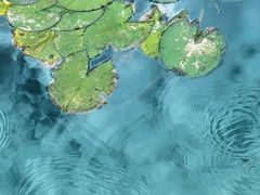 -黑龙潭公园