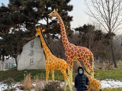 -西安秦岭野生动物园