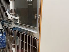 -瑞派康怡24h宠物医院·犬猫医疗中心·微创绝育(瑞景分院)