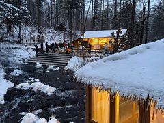 -峡谷浮石林景区
