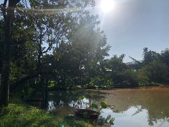 -洪湖家庭农场·团建·露营·会议