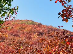 -周口店坡峰岭风景区