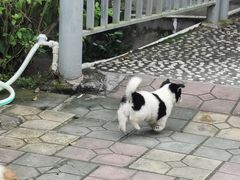 -莲湖山庄